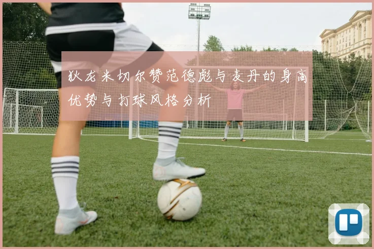 狄龙米切尔赞范德彪与麦丹的身高优势与打球风格分析